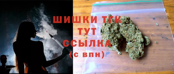 PSILOCYBIN Баксан