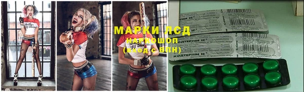 PSILOCYBIN Баксан