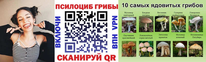 Псилоцибиновые грибы GOLDEN TEACHER  площадка наркотические препараты  Лысьва  где купить  